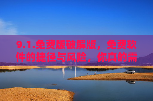 9.1.免费版破解版，免费软件的捷径与风险，你真的需要吗？