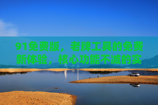 91免费版，老牌工具的免费新体验，核心功能不减的实用选择