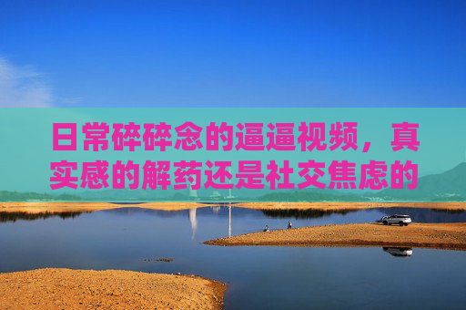 日常碎碎念的逼逼视频，真实感的解药还是社交焦虑的催化剂？