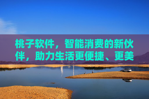 桃子软件，智能消费的新伙伴，助力生活更便捷、更美好