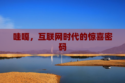 哇嘎，互联网时代的惊喜密码