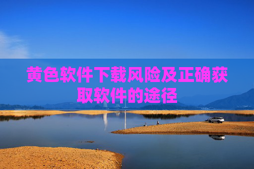 黄色软件下载风险及正确获取软件的途径