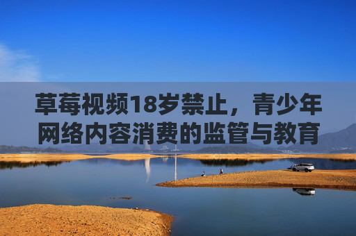 草莓视频18岁禁止，青少年网络内容消费的监管与教育思考