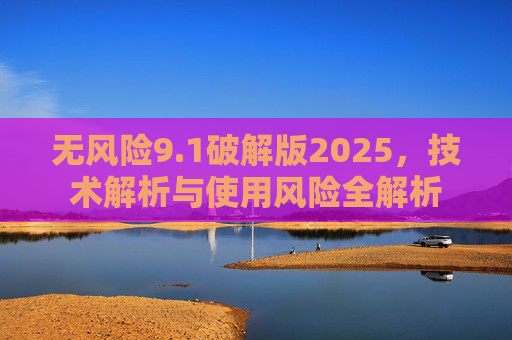 无风险9.1破解版2025，技术解析与使用风险全解析