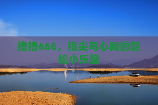 撸撸666，指尖与心间的轻松小乐趣