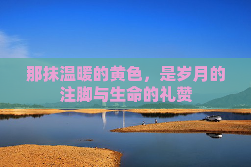 那抹温暖的黄色，是岁月的注脚与生命的礼赞