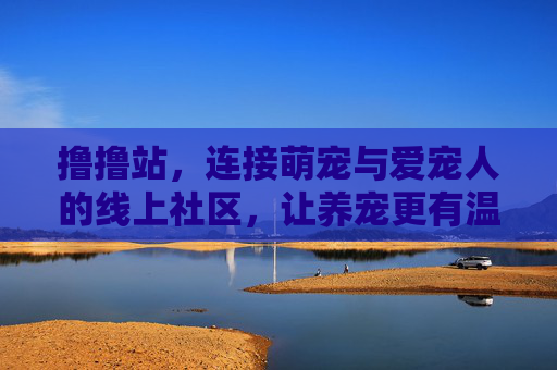 撸撸站，连接萌宠与爱宠人的线上社区，让养宠更有温度与乐趣