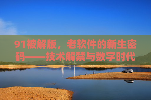 91被解版，老软件的新生密码——技术解禁与数字时代的软件自由探索