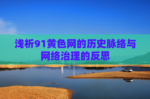 浅析91黄色网的历史脉络与网络治理的反思