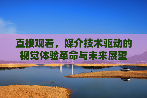 直接观看，媒介技术驱动的视觉体验革命与未来展望