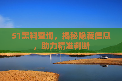 51黑料查询，揭秘隐藏信息，助力精准判断