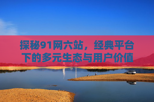 探秘91网六站，经典平台下的多元生态与用户价值