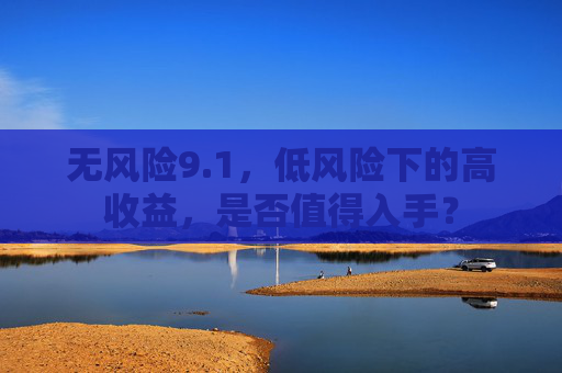 无风险9.1，低风险下的高收益，是否值得入手？
