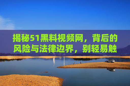揭秘51黑料视频网，背后的风险与法律边界，别轻易触碰！