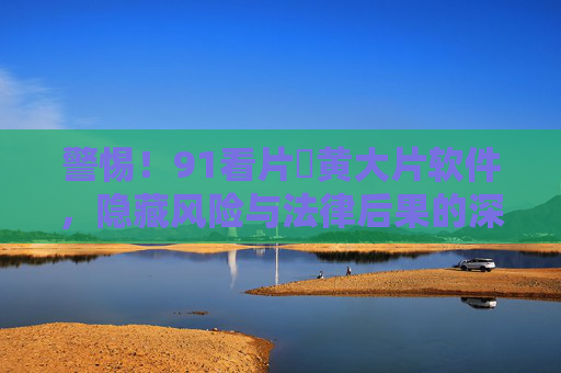 警惕！91看片婬黄大片软件，隐藏风险与法律后果的深度解析