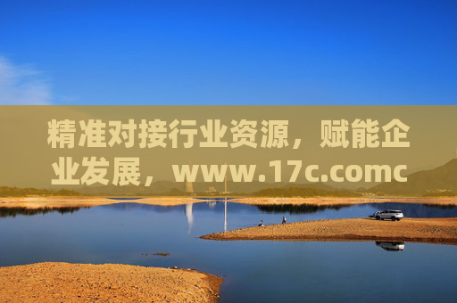 精准对接行业资源，赋能企业发展，www.17c.comcom的价值与机遇