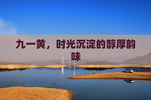 九一黄，时光沉淀的醇厚韵味