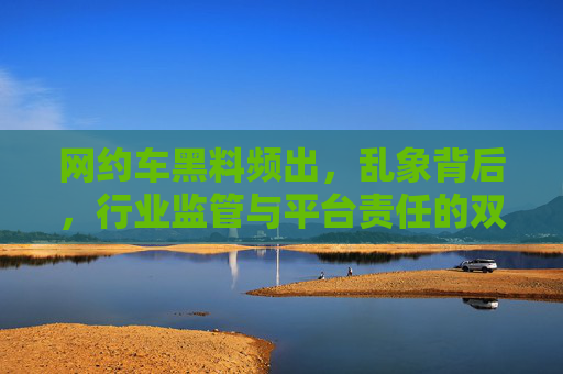 网约车黑料频出，乱象背后，行业监管与平台责任的双重审视