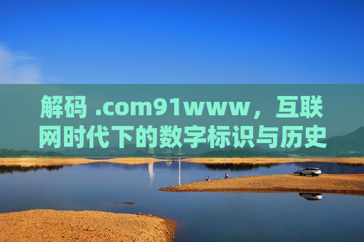 解码 .com91www，互联网时代下的数字标识与历史回响