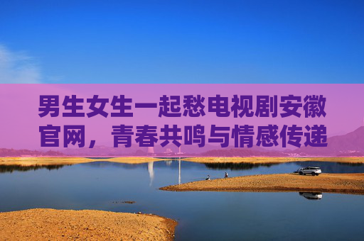 男生女生一起愁电视剧安徽官网，青春共鸣与情感传递的温暖载体