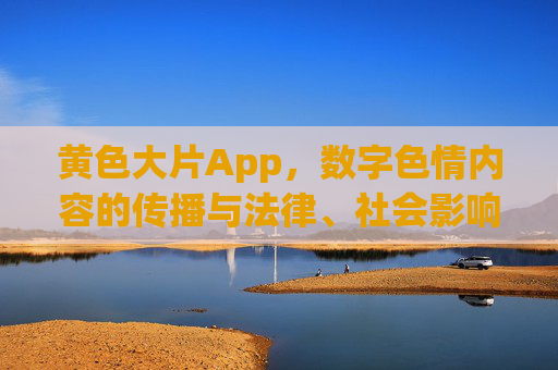 黄色大片App，数字色情内容的传播与法律、社会影响探析——兼论监管路径与用户责任