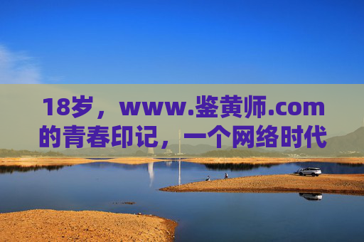 18岁，www.鉴黄师.com的青春印记，一个网络时代的见证者与成长者