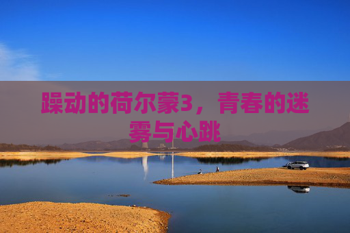 躁动的荷尔蒙3，青春的迷雾与心跳