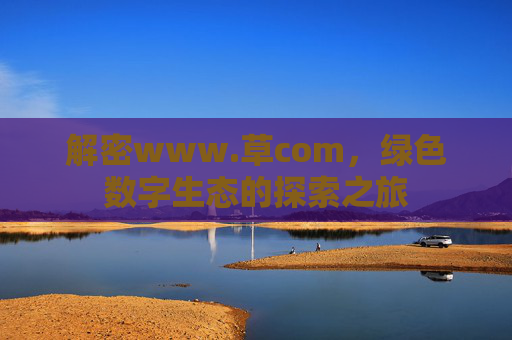 解密www.草com，绿色数字生态的探索之旅
