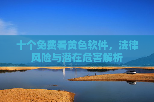 十个免费看黄色软件，法律风险与潜在危害解析