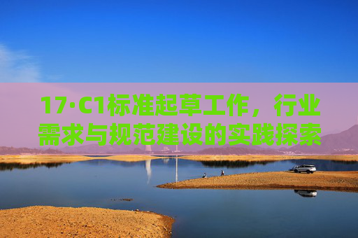 17·C1标准起草工作，行业需求与规范建设的实践探索