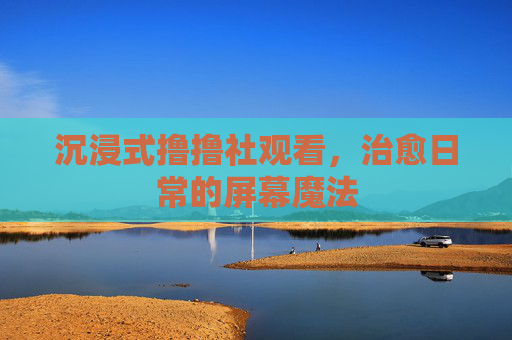 沉浸式撸撸社观看，治愈日常的屏幕魔法