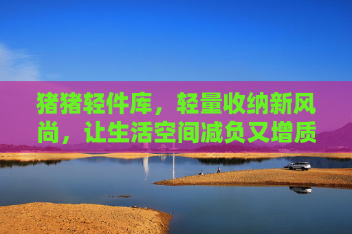 猪猪轻件库，轻量收纳新风尚，让生活空间减负又增质