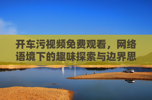 开车污视频免费观看，网络语境下的趣味探索与边界思考