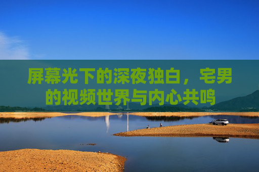 屏幕光下的深夜独白，宅男的视频世界与内心共鸣