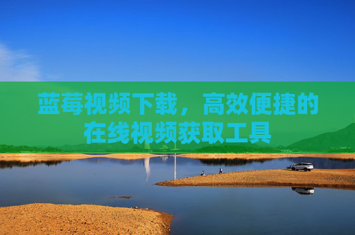 蓝莓视频下载，高效便捷的在线视频获取工具