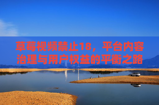 草莓视频禁止18，平台内容治理与用户权益的平衡之路
