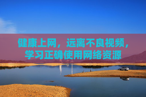 健康上网，远离不良视频，学习正确使用网络资源
