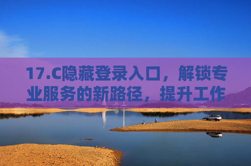 17.C隐藏登录入口，解锁专业服务的新路径，提升工作与学习效率