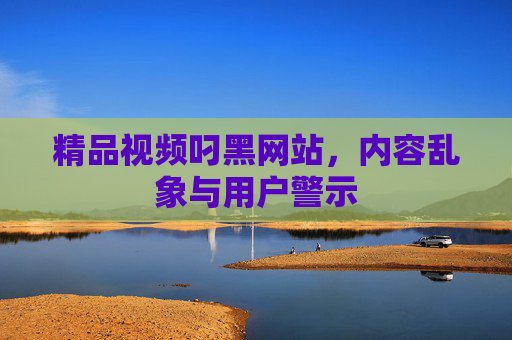 精品视频叼黑网站，内容乱象与用户警示