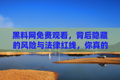 黑料网免费观看，背后隐藏的风险与法律红线，你真的敢碰吗？——警惕非法内容，守护个人与法律安全