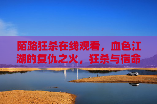 陌路狂杀在线观看，血色江湖的复仇之火，狂杀与宿命的对决，一触即发的惊悚盛宴