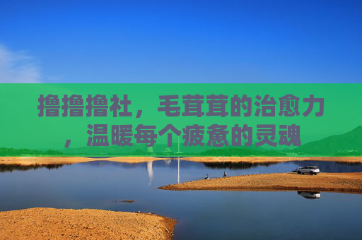 撸撸撸社，毛茸茸的治愈力，温暖每个疲惫的灵魂