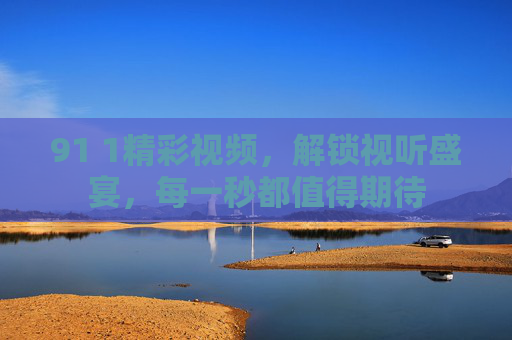 91 1精彩视频，解锁视听盛宴，每一秒都值得期待
