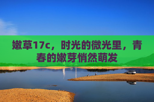 嫩草17c，时光的微光里，青春的嫩芽悄然萌发