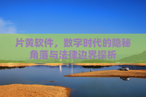 片黄软件，数字时代的隐秘角落与法律边界探析