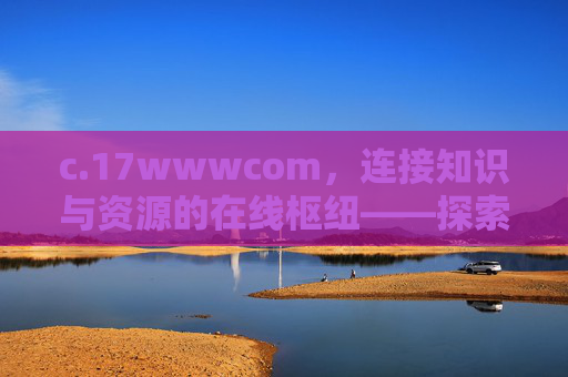 c.17wwwcom，连接知识与资源的在线枢纽——探索其价值与作用