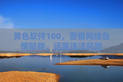 黄色软件100，警惕网络色情陷阱，远离违法风险