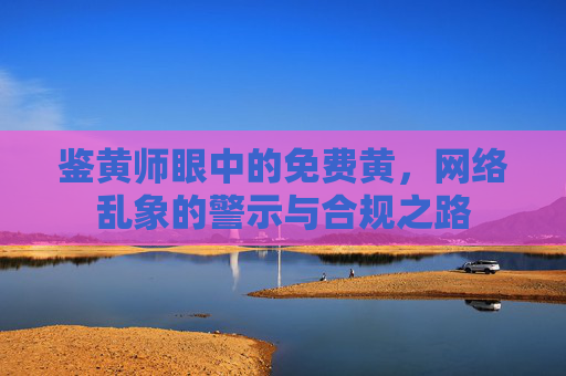 鉴黄师眼中的免费黄，网络乱象的警示与合规之路