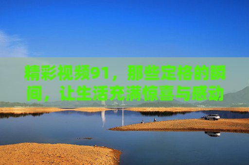 精彩视频91，那些定格的瞬间，让生活充满惊喜与感动
