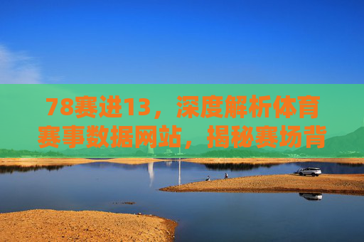 78赛进13，深度解析体育赛事数据网站，揭秘赛场背后的精彩与挑战